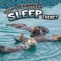 Why Do Animals Sleep There? - Preview