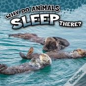Capa do artigo Why Do Animals Sleep There?