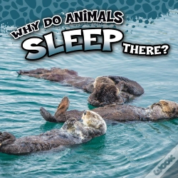 Capa do artigo Why Do Animals Sleep There?