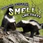 Why Do Animals Smell Like That? - Preview