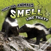 Capa do artigo Why Do Animals Smell Like That?