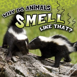 Capa do artigo Why Do Animals Smell Like That?