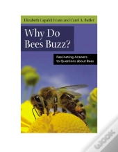 Why Do Bees Buzz?
