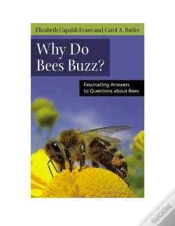 Capa do artigo Why Do Bees Buzz?