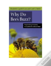 Capa do artigo Why Do Bees Buzz?