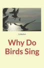 Why Do Birds Sing - Preview