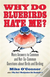 Why Do Bluebirds Hate Me?