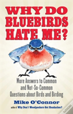 Capa do artigo Why Do Bluebirds Hate Me?
