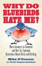 Why Do Bluebirds Hate Me? - Preview