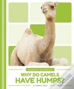 Why Do Camels Have Humps?