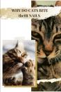 Why Do Cats Bite ThеIr Nails - Preview