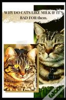 Why Do Cats Like Milk If It'S Bad For ThãÂµM.