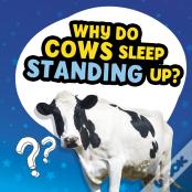 Why Do Cows Sleep Standing Up?