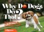 Why Do Dogs Do That? - Preview