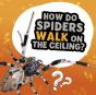 Why Do Flies Like Gross Stuff? - Preview