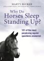 Why Do Horses Sleep Standing Up? - Preview