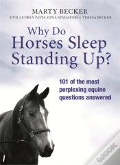 Capa do artigo Why Do Horses Sleep Standing Up?