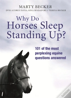 Capa do artigo Why Do Horses Sleep Standing Up?
