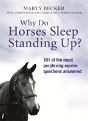Why Do Horses Sleep Standing Up? - Preview