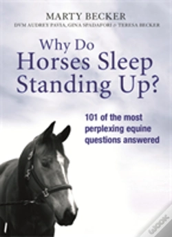 Capa do artigo Why Do Horses Sleep Standing Up?