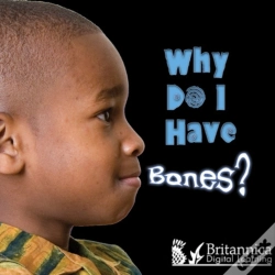 Capa do artigo Why Do I Have Bones?