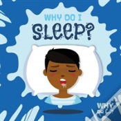 Capa do artigo Why Do I Sleep?