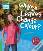 Why Do Leaves Change Colour Level 3 Fact