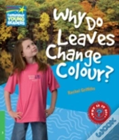 Capa do artigo Why Do Leaves Change Colour Level 3 Fact