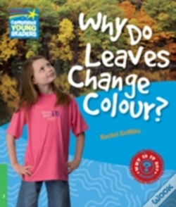 Capa do artigo Why Do Leaves Change Colour Level 3 Fact