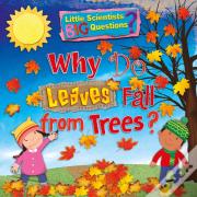 Why Do Leaves Fall From Trees?