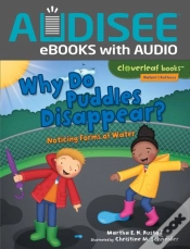 Capa do artigo Why Do Puddles Disappear?