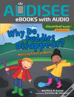 Capa do artigo Why Do Puddles Disappear?