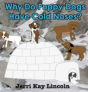 Why Do Puppy Dogs Have Cold Noses? - Preview