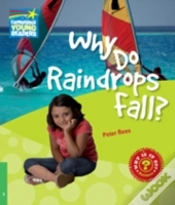 Capa do artigo Why Do Raindrops Fall Level 3 Factbook