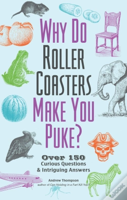 Capa do artigo Why Do Roller Coasters Make You Puke?