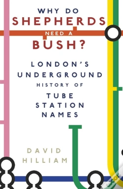 Capa do artigo Why Do Shepherds Need A Bush?