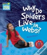 Why Do Spiders Live In Webs Level 4 Fact