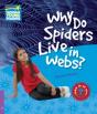 Why Do Spiders Live In Webs Level 4 Fact - Preview