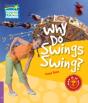 Why Do Swings Swing Level 4 Factbook - Preview