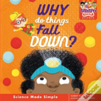 Why Do Things Fall Down?
