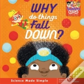 Why Do Things Fall Down?