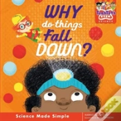 Capa do artigo Why Do Things Fall Down?