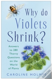 Capa do artigo Why Do Violets Shrink?