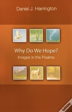 Capa do artigo Why Do We Hope?
