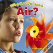 Capa do artigo Why Do We Need Air?