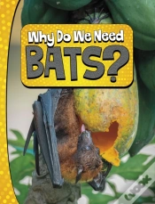 Capa do artigo Why Do We Need Bats?