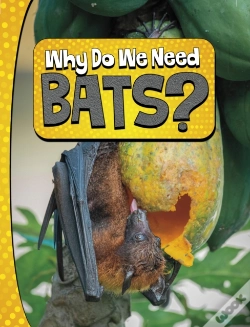 Capa do artigo Why Do We Need Bats?