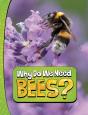Why Do We Need Bees? - Preview
