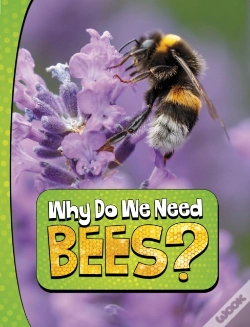 Capa do artigo Why Do We Need Bees?