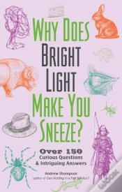 Capa do artigo Why Does Bright Light Make You Sneeze?